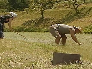 Japanese Doggy Style Village Fuck: Nippon Bonanza of XXX Porn