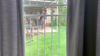 I caught my neighbours fucking outside in the backyard