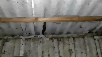 We hid from the rain in an abandoned place to have sex with dirty talk - Lesbian Illusion Girls