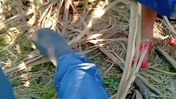 Indian village bhabhi fucking outdoor