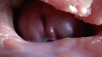 compilacao de esporradelas