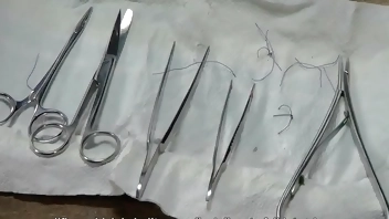 另类小母狗私人订制