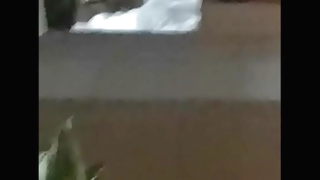 母狗被操得直叫