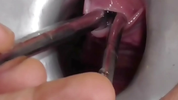 Amateur FreyjaAnalslut:  Multiple Sounds - James is stretching Freyja's urethra with multiple sounds - peeing into Freyja's gaping cunt