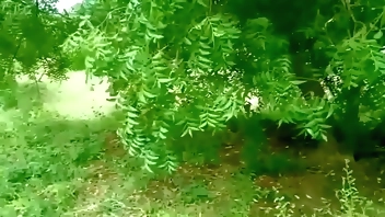 Indian Village Farming girl Having Sex with forest officer