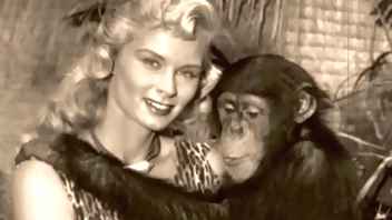 Vintage Taboo, Pussy & Pooch