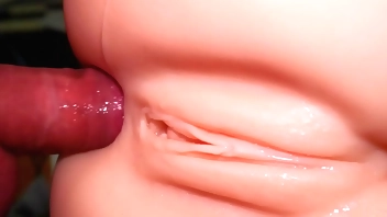 Stick it in the vagina, stick it in the ass.