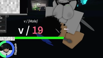 getting ridden by a cat