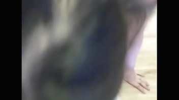 粉墨人生-骚母狗不听话，被主人语言控制