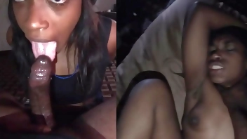 Zo Travels PitBull In Heat Doggystyle Compilation ( I HAVE THE BEST DICK IN THE WORLD )