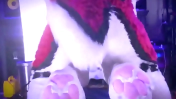 Jessefrost follada por cenny en estilo perrito