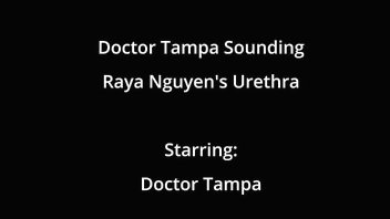 Asian Teen Raya Ngueyn Piss Hole Gets Penetrated With Surgical Steel Sounds By Doctor Tampa Courtesy Of GirlsGoneGyno Raya Pham Raya Kahi Reup