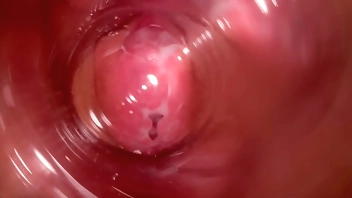 Please, Cum inside my Pussy... Dirty Talk and Hot Pussy spreading and internal camera (Dirty Talk #4)