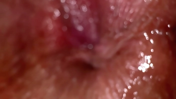 Close up ass fingering and dirty talk, anal masturbation orgasm