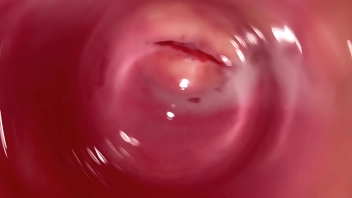 Internal camera inside tight creamy Vagina, Dick's POV